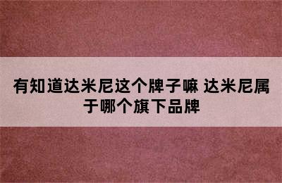 有知道达米尼这个牌子嘛 达米尼属于哪个旗下品牌